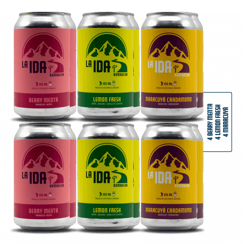 Pack Kombucha Mix surtido 12 kombuchas La Ida sin alcohol