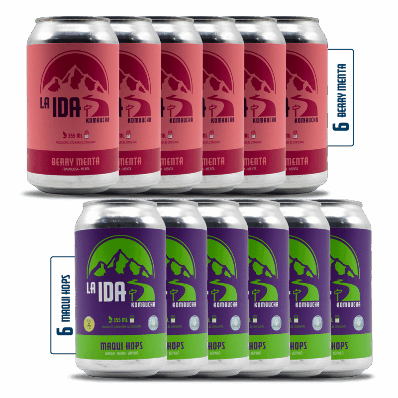 Pack Berries Style kombuchas de berries La Ida sin alcohol